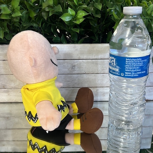 Charlie Brown plush - Picture 4 of 10